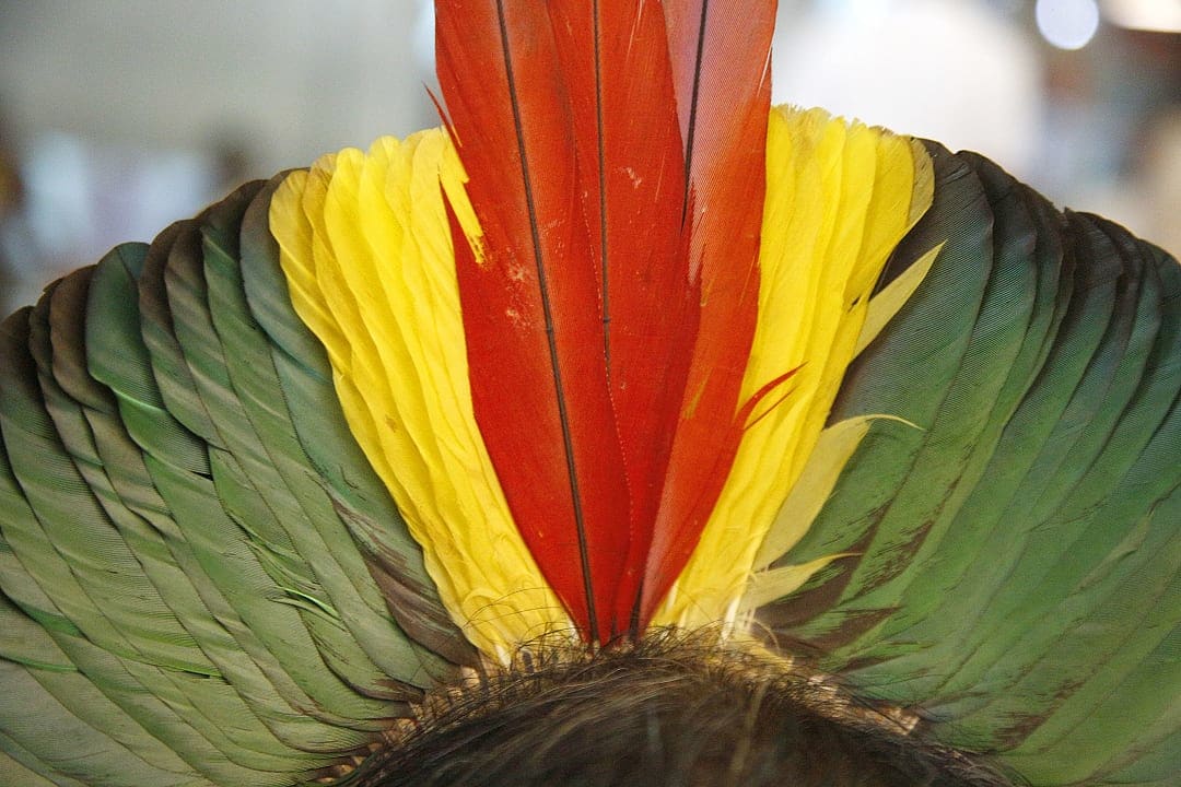 Colorful Kayapó Headdress