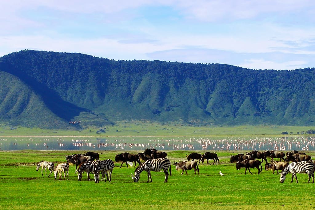 Ngorongoro Conservation Area, Tanzania