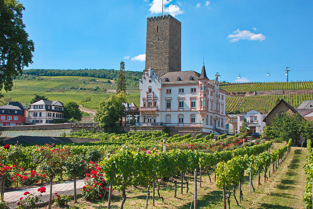 Vineyard and historic tower in Rüdesheim am Rhein, Germany, surrounded by green hills and blue skies