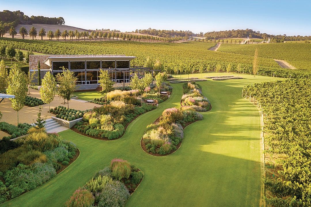 Barossa Valley Estate vineyards in South Australia