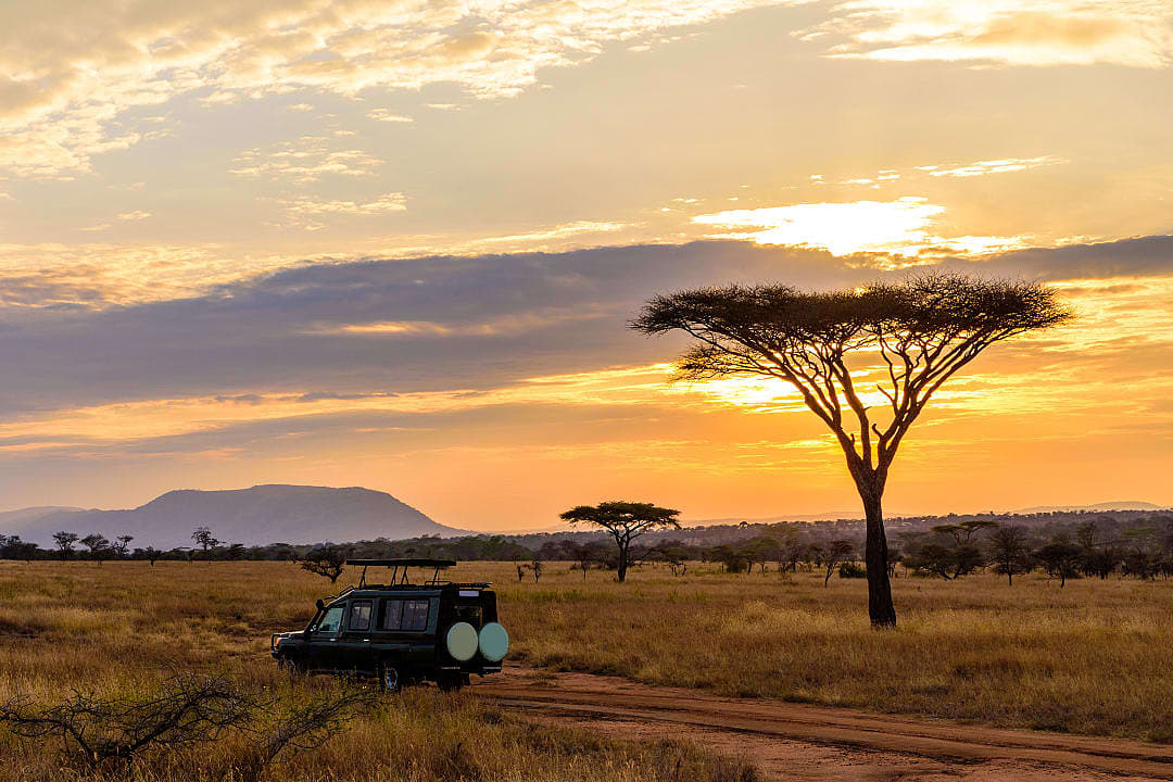 Kruger National Park at sunset, South Africa