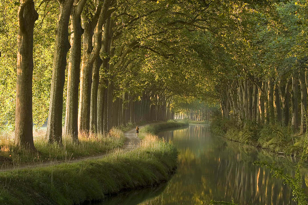 Landscape of the Canal du Midi, France.