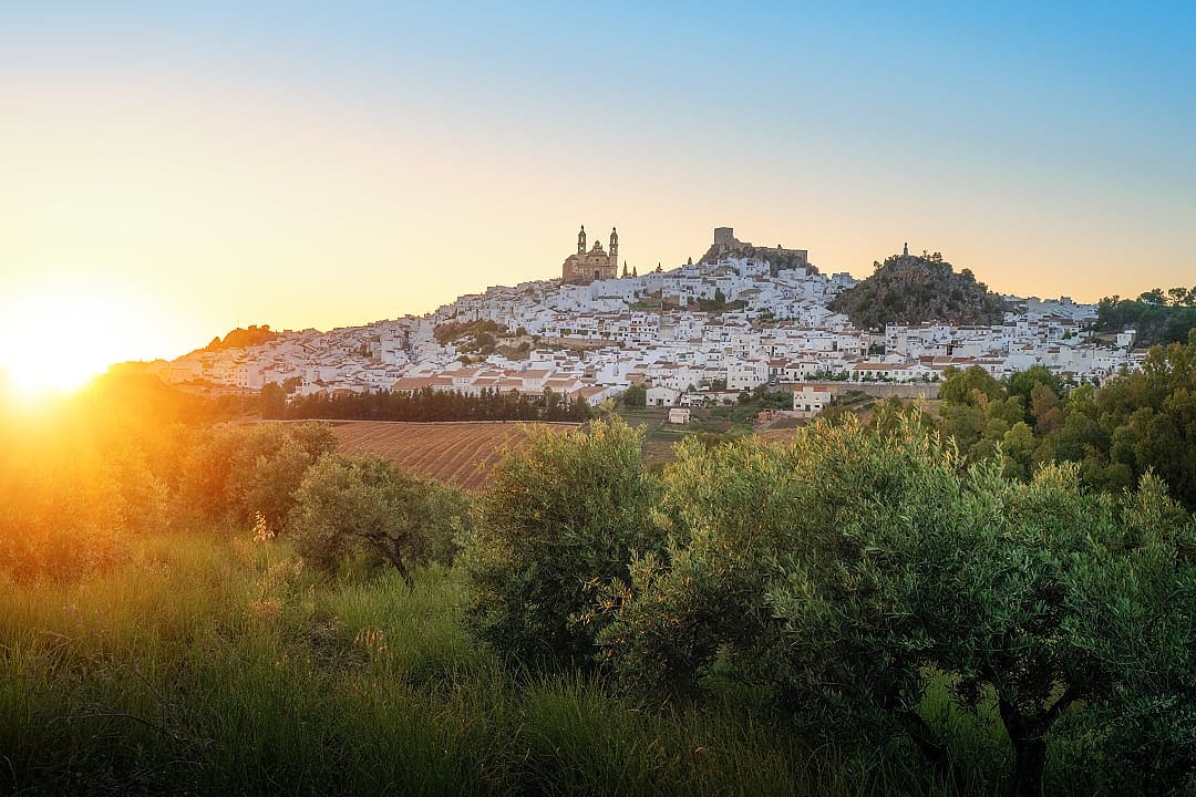 Olvera skyline at sunset with olive trees in Andalusia, Spain
