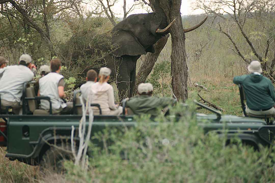Game reserve in South Africa
