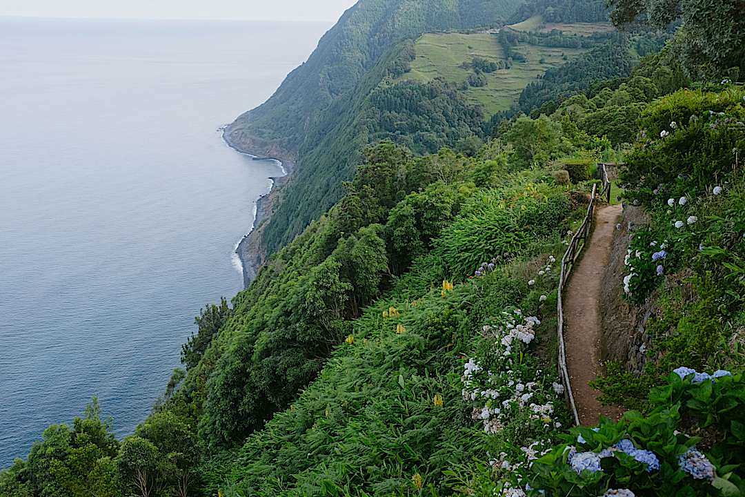 A trail in the Azores, Portugal.