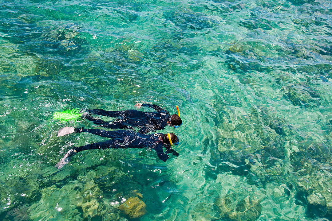 A couple snorkeling in the Great Barrier Reef.