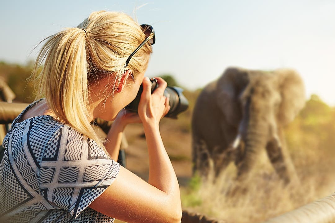 A woman photographing an elephant during a safari.