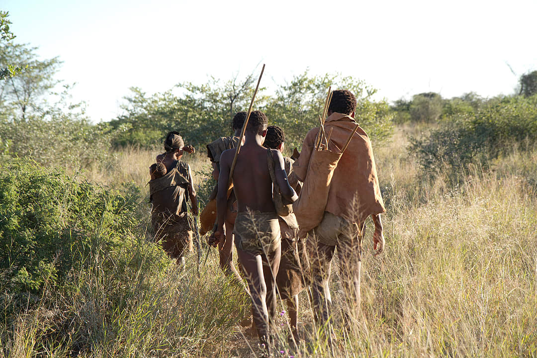 A tribe of San bushmen walking together.
