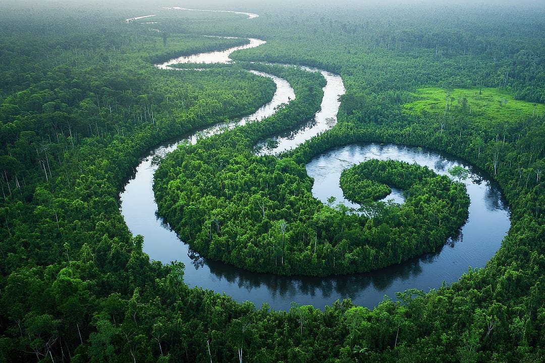 Tanjung Puting National Park, Indonesia.