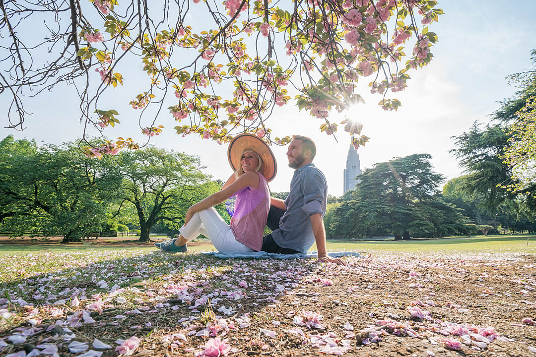 Japanese Garden in Tokyo, Japan