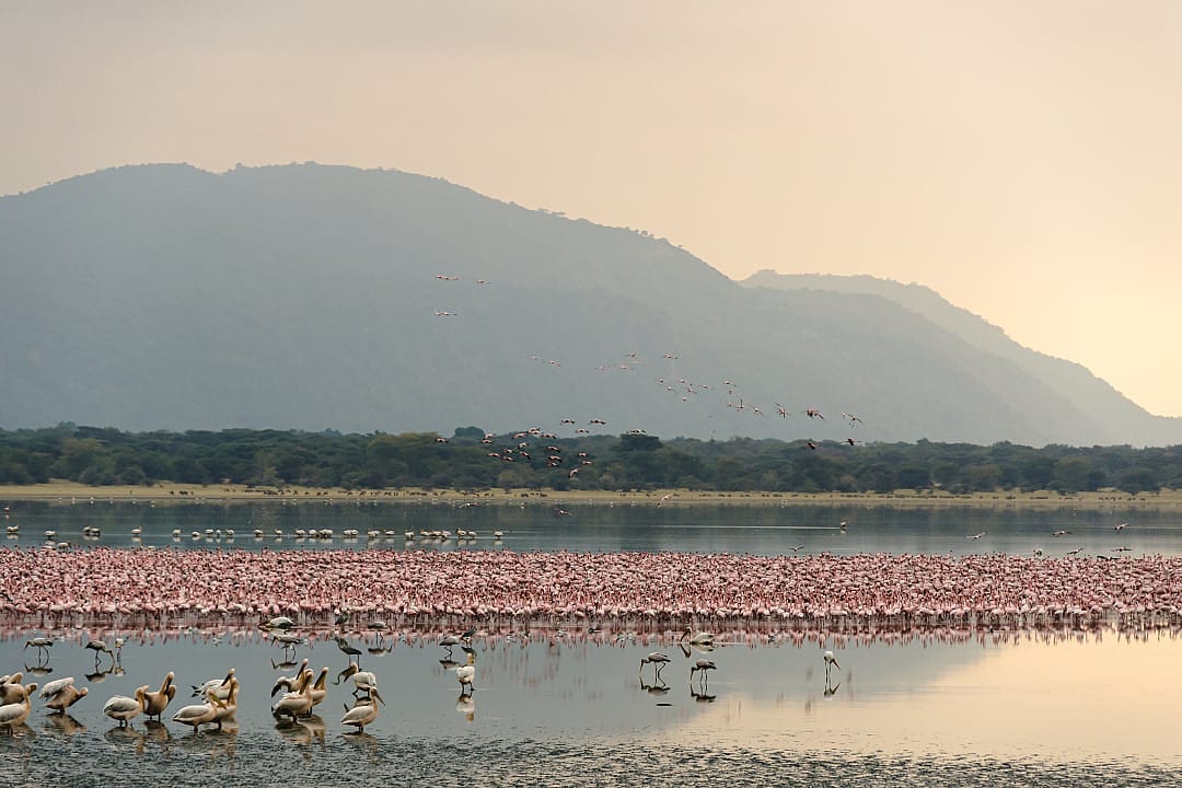 Lake Manyara in Tanzania.