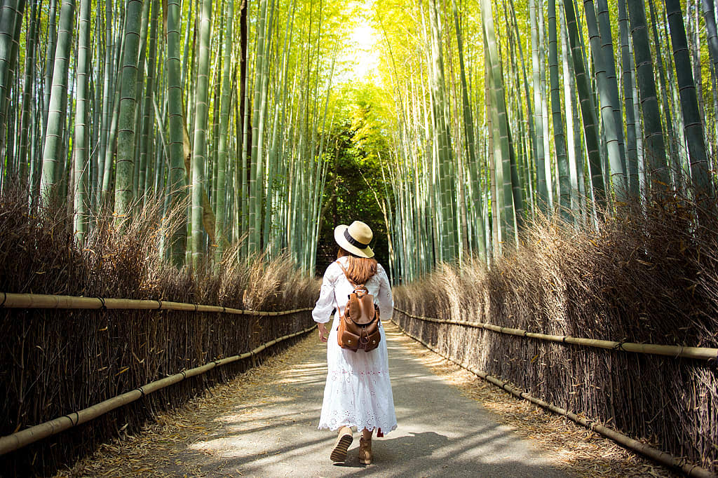 Woman in the Arashiyama bamboo forest, Kyoto
