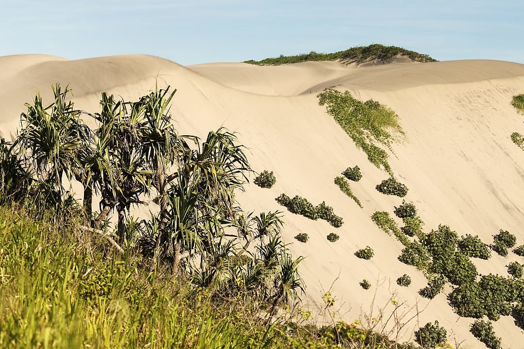  Sigatoka Sand Dunes in Fiji