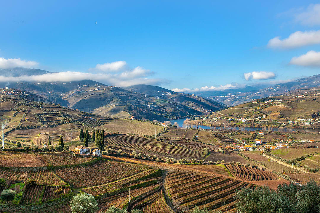 Vineyards in Douro Valley during the winter season in Portugal