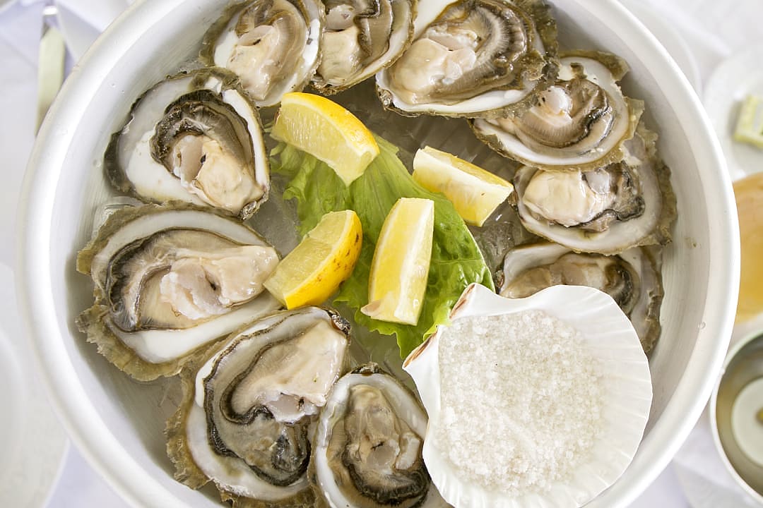 Croatian Oysters