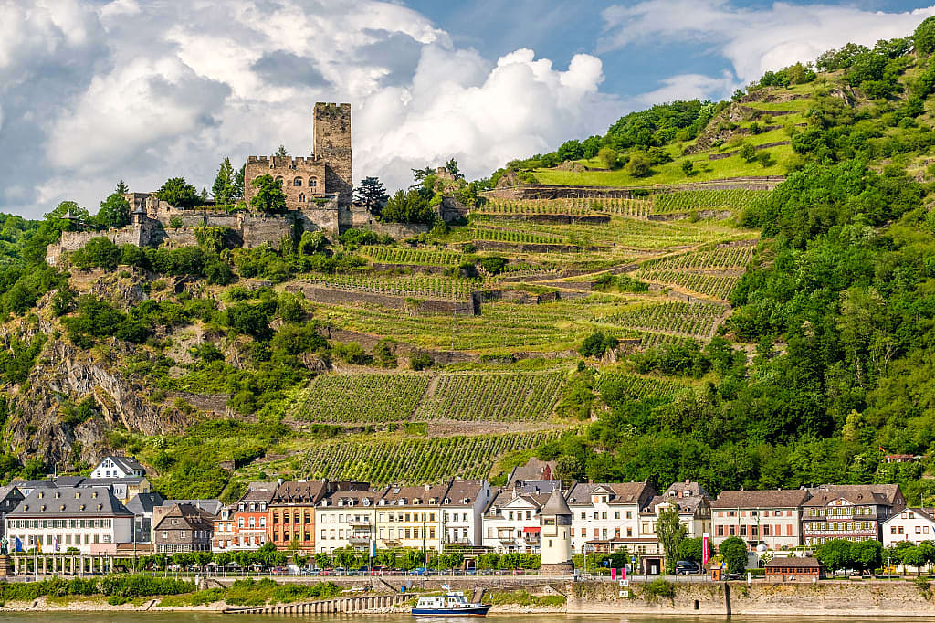 Gutenfels Castle and vineyards in the Rhine Valley