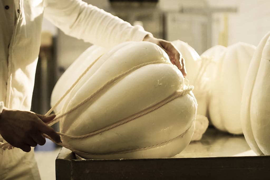 Production of Valpadana Provolone