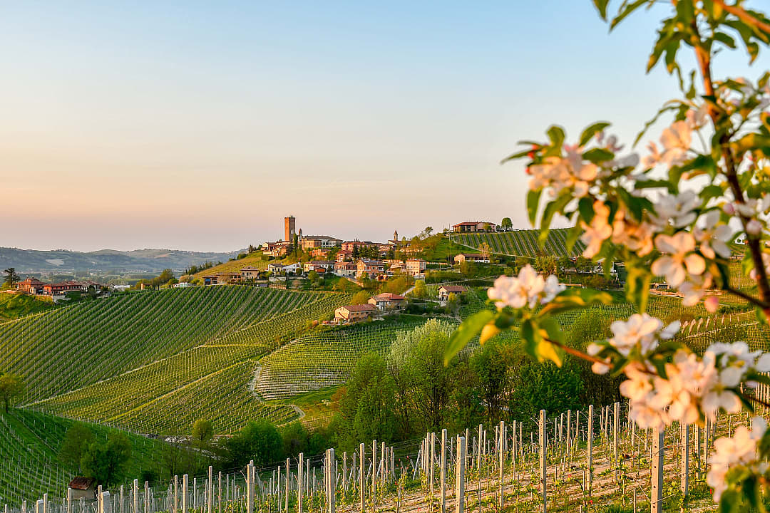 Vineyards and village in Piedmont, Italy.