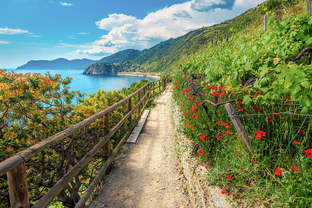 The Blue Trail path in Cinque Terre, Italy.