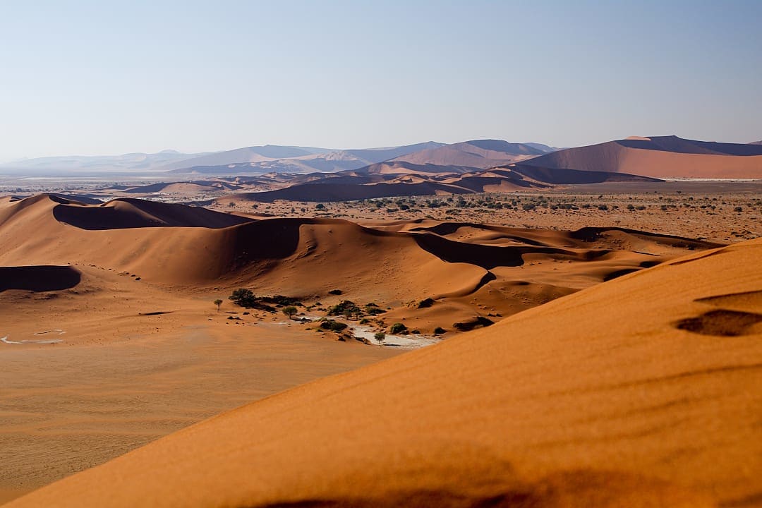 Golden sand dunes stretch endlessly under a clear blue desert sky.