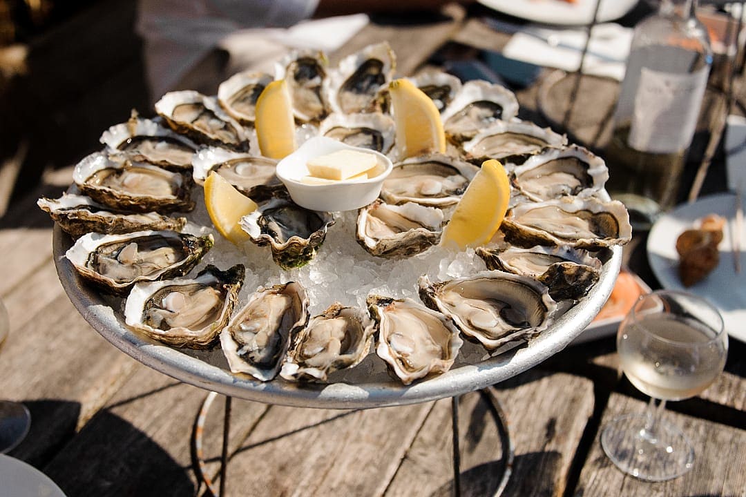 Oysters in the South of France
