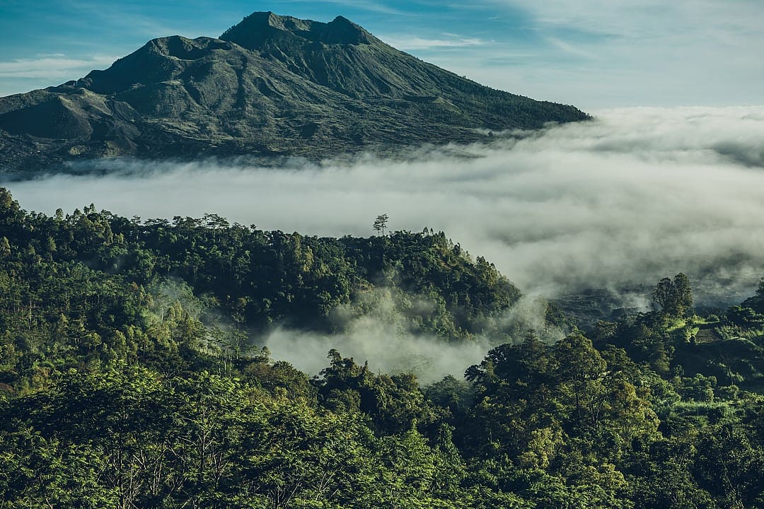 Morning mist drapes lush forest beneath Mount Batur and Mount Agung.