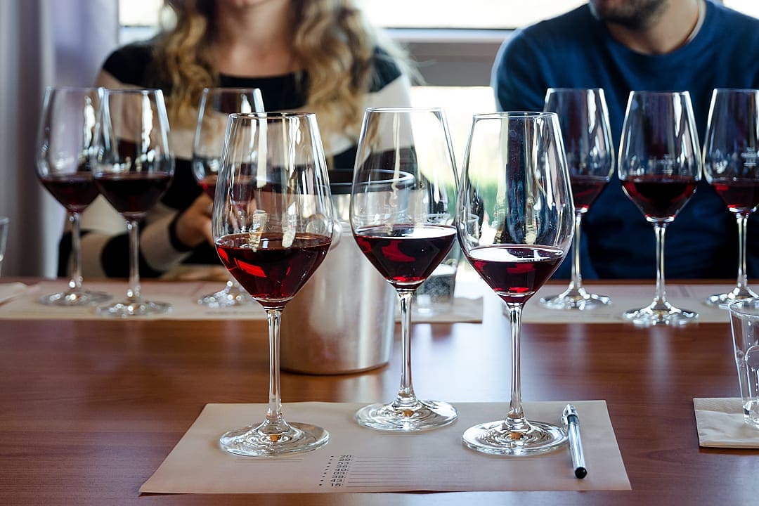 Couple at wine tasting in Lange, Italy