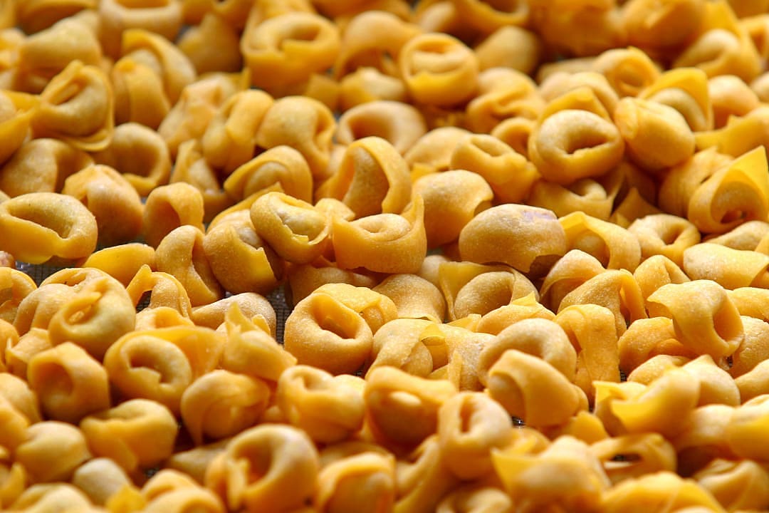 Freshly made tortellini pasta