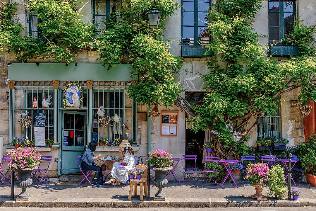 A charming café with greenery and flowers welcomes visitors in Paris.
