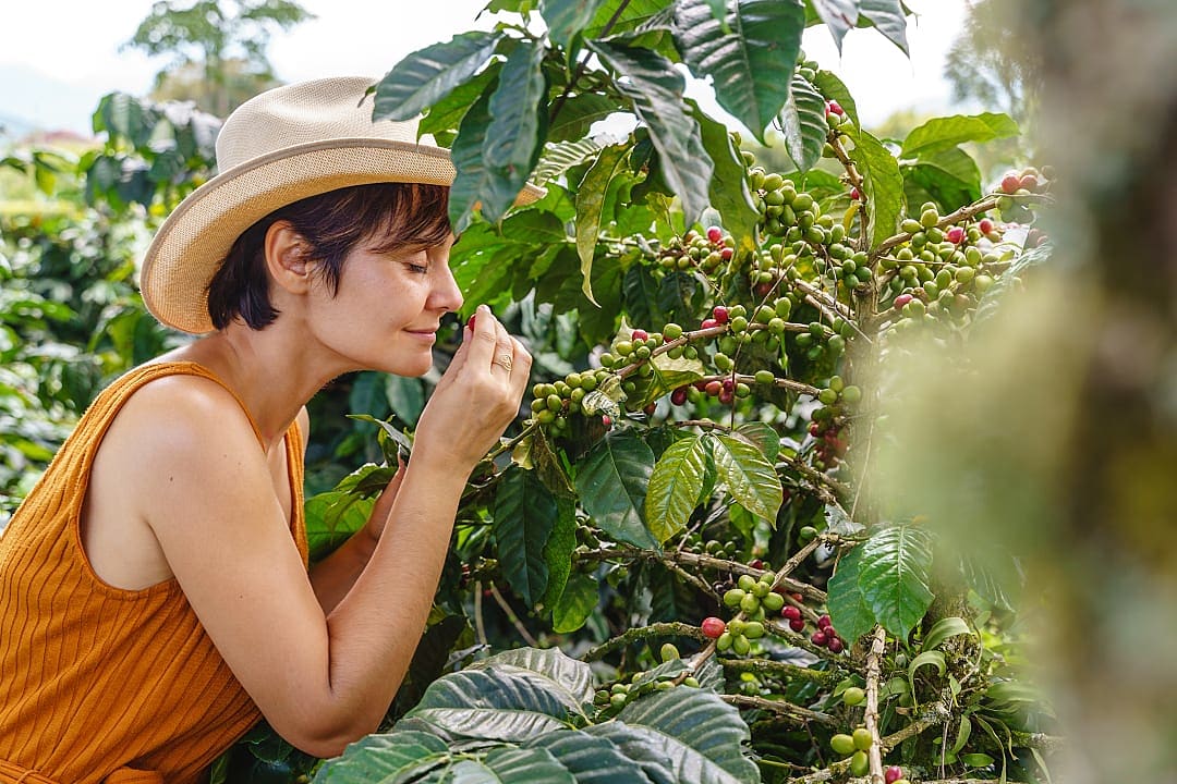 Coffee plantation tour in Santa Rosa del Cabal in Colombia.