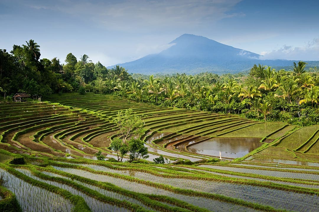 Curved rice terraces and volcano under tropical sky in Bali.
