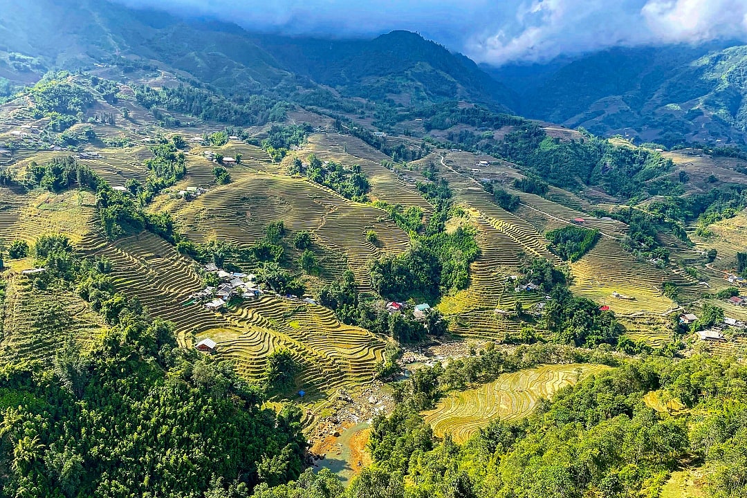 Rice terraces in vietnam