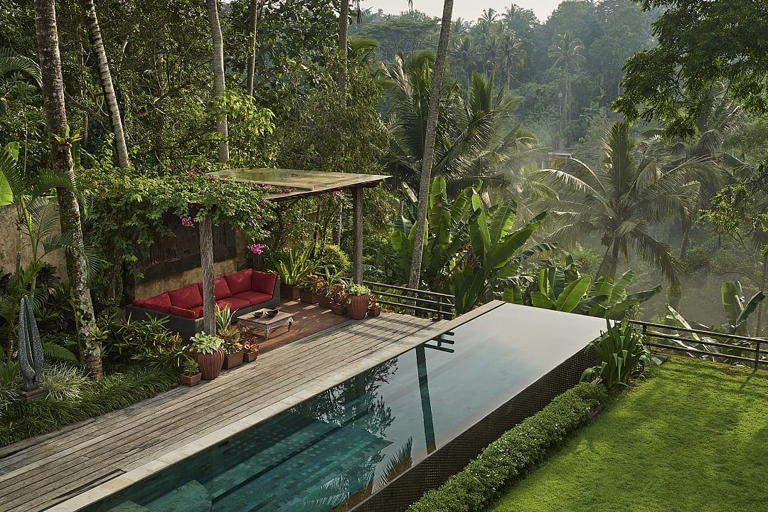 An infinity pool surrounded by the jungle in Ubud. 