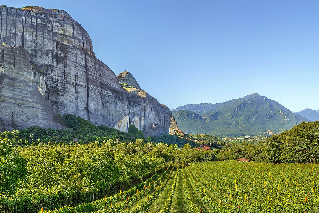 Vineyards in Meteora, Greece