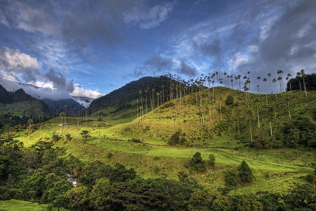 Cocora Valley near Salento, Colombia. Photo courtesy of Hacienda Bambusa