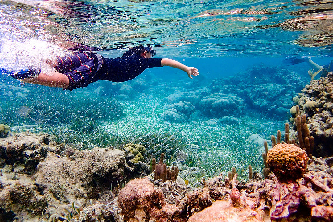 Young boy snorkeling the clear waters of Ambergris Caye, Belize
