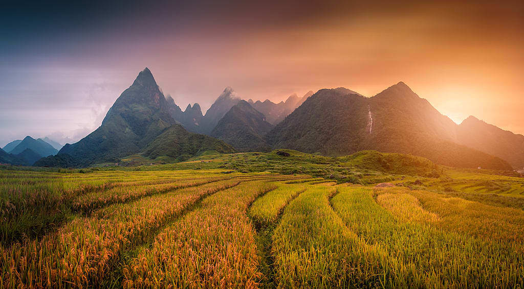 Rice fields with mount Fansipan at sunset in Lao Cai, Northern Vietnam.