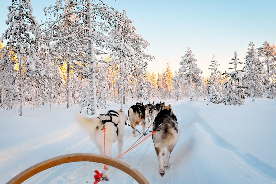 hildren in Finland where chasing northern lights is a part of the memory.