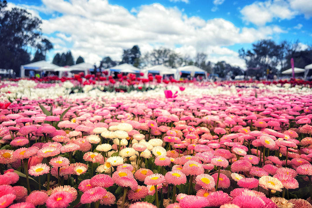 Canberra’s Floriade, Canberra, Australia.