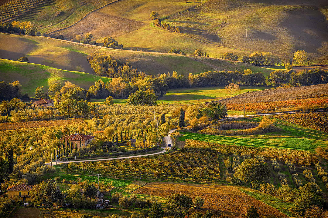 Autumn Tuscany landscape near Montepulciano, Italy