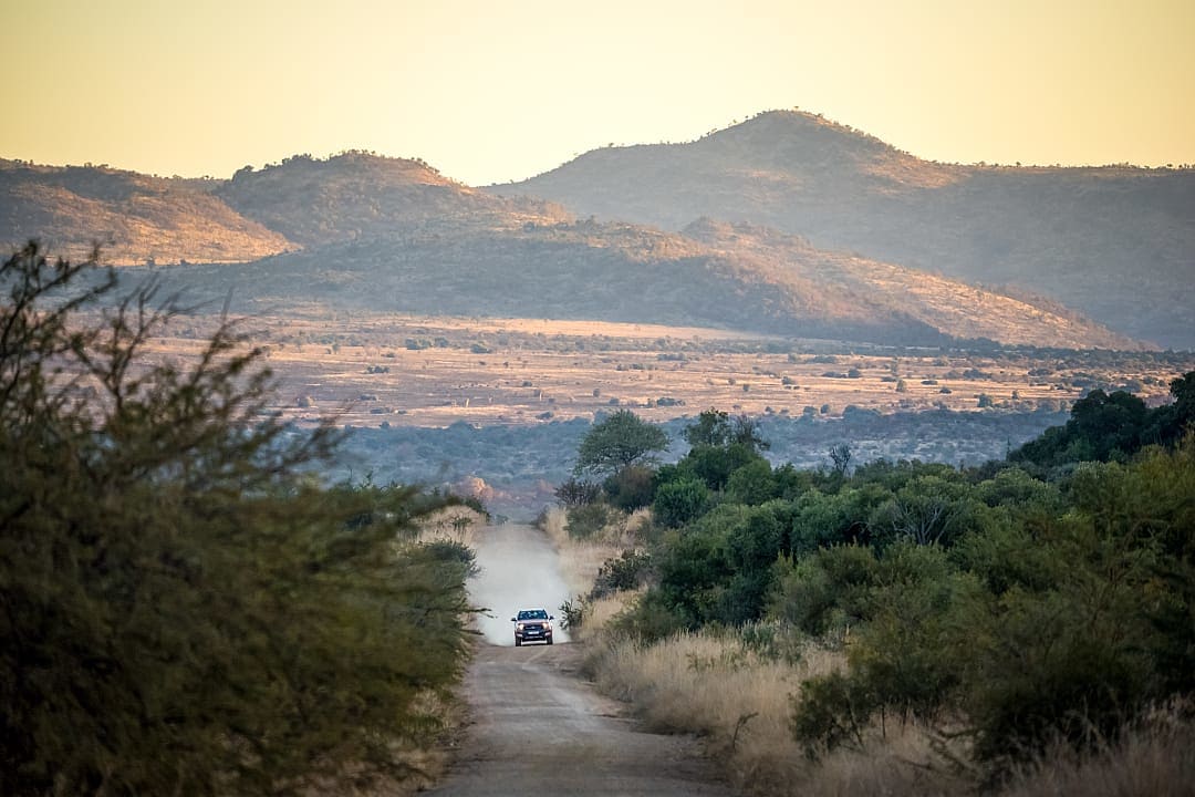 Pilanesberg National Park, South Africa.