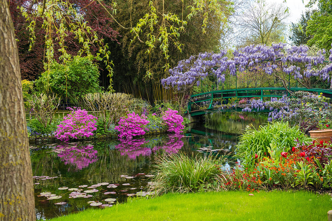 The water garden of Monet in Giverny. 