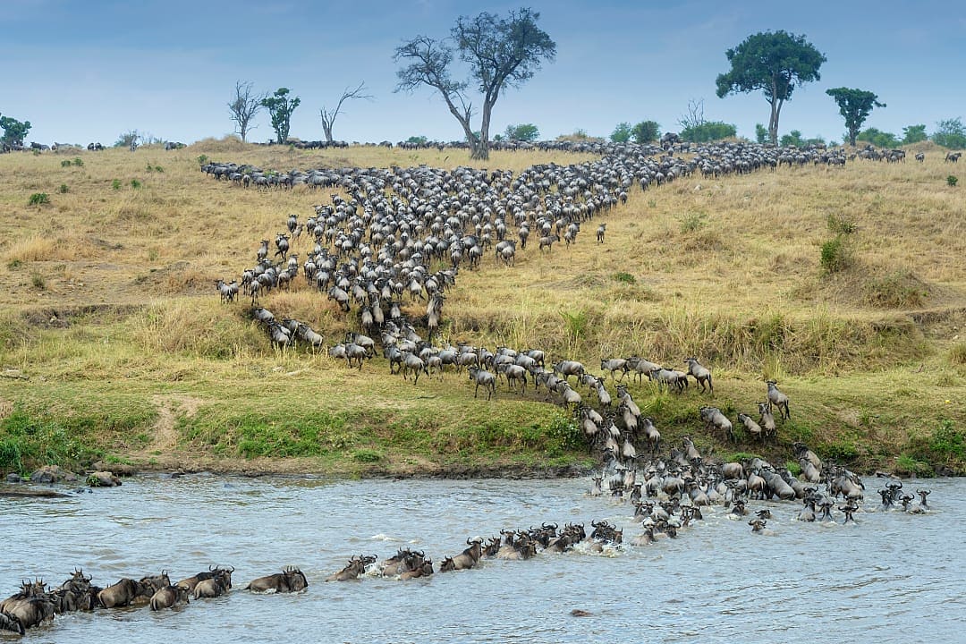 Serengeti National Park, Tanzania