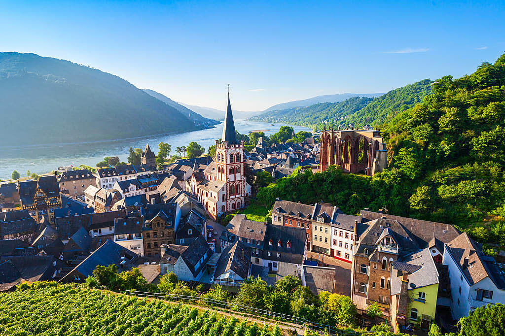 Vineyards around the small town of Bacharach along the Rhine Valley in Rhineland-Palatinate, Germany