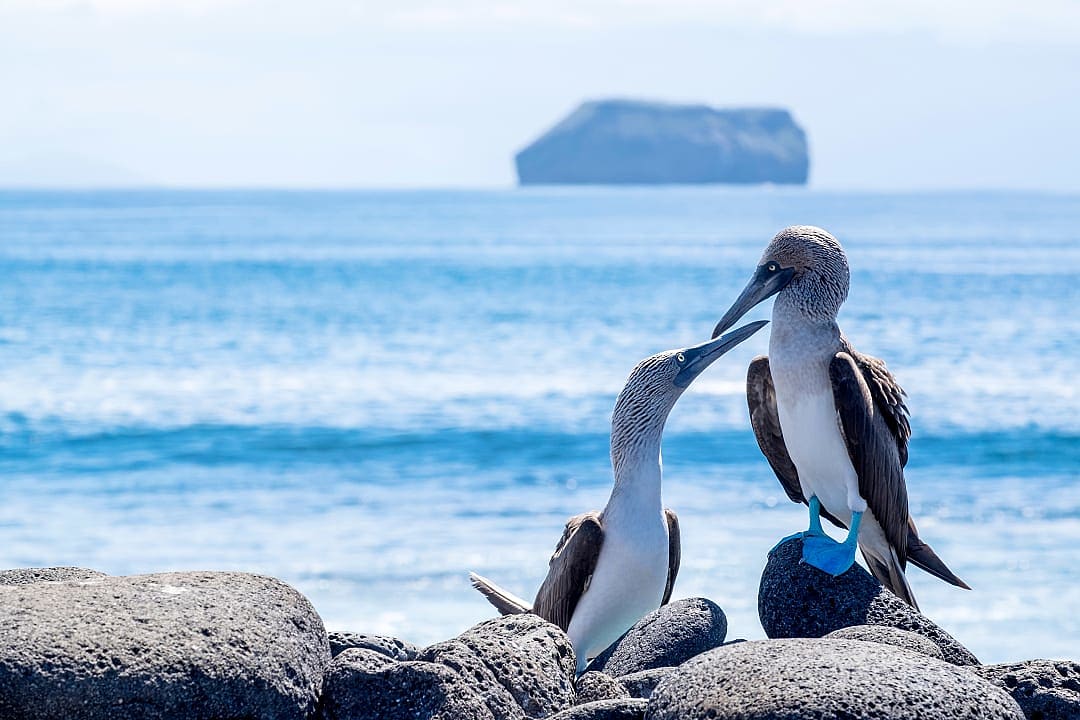 The Galapagos Island, Ecuador
