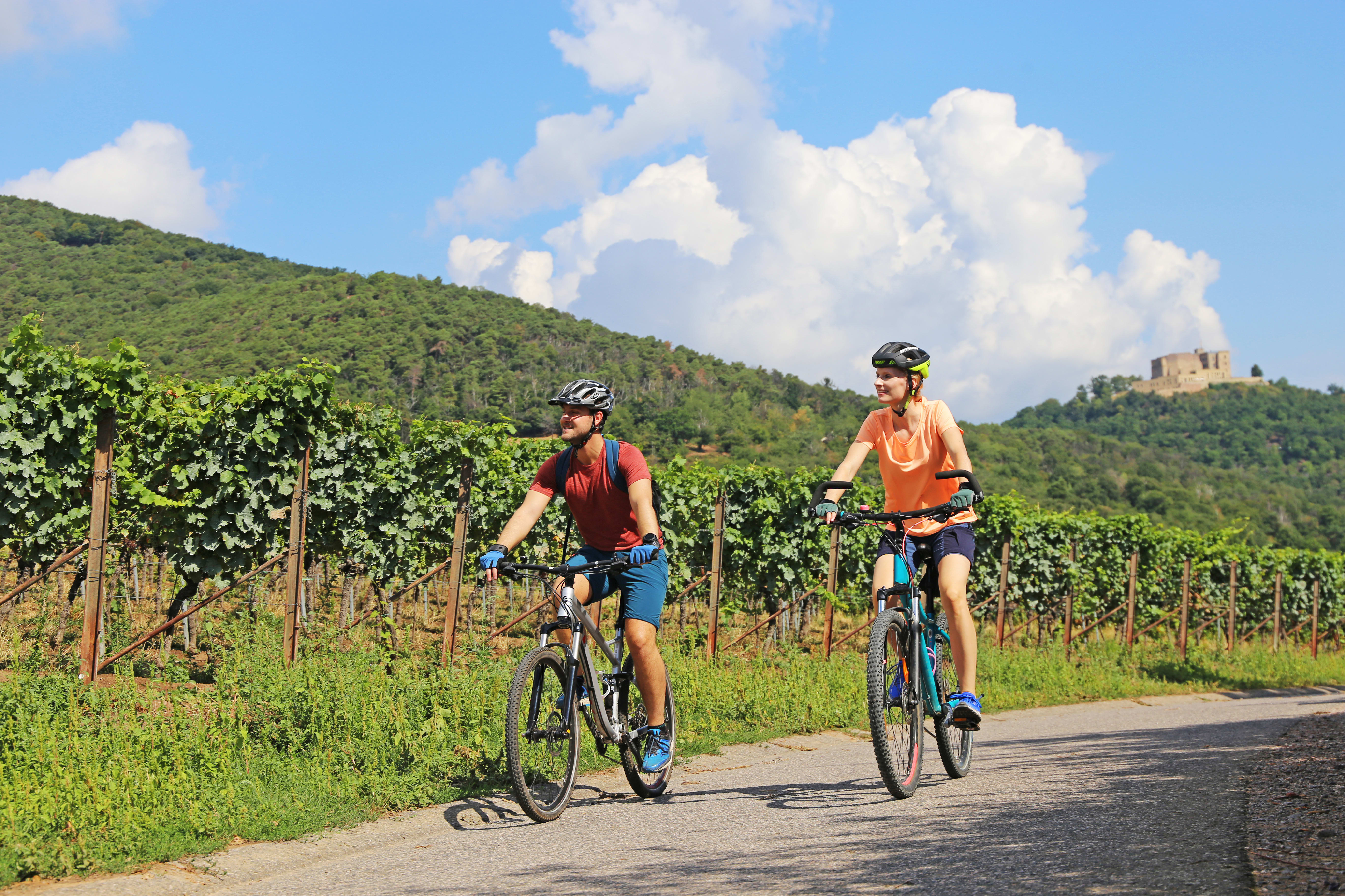 Copule biking through vineyards in Rhineland-Palatinate 