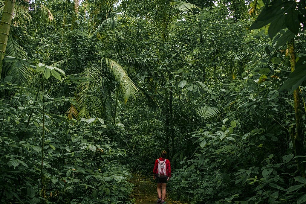 Hiking in Arenal Volcano National Park, Costa Rica