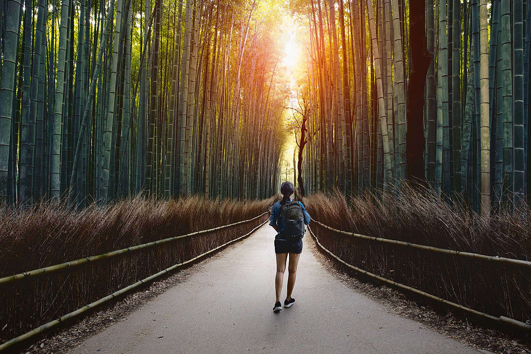 Woman walling into Arashiyama bamboo forest in Kyoto, Japan
