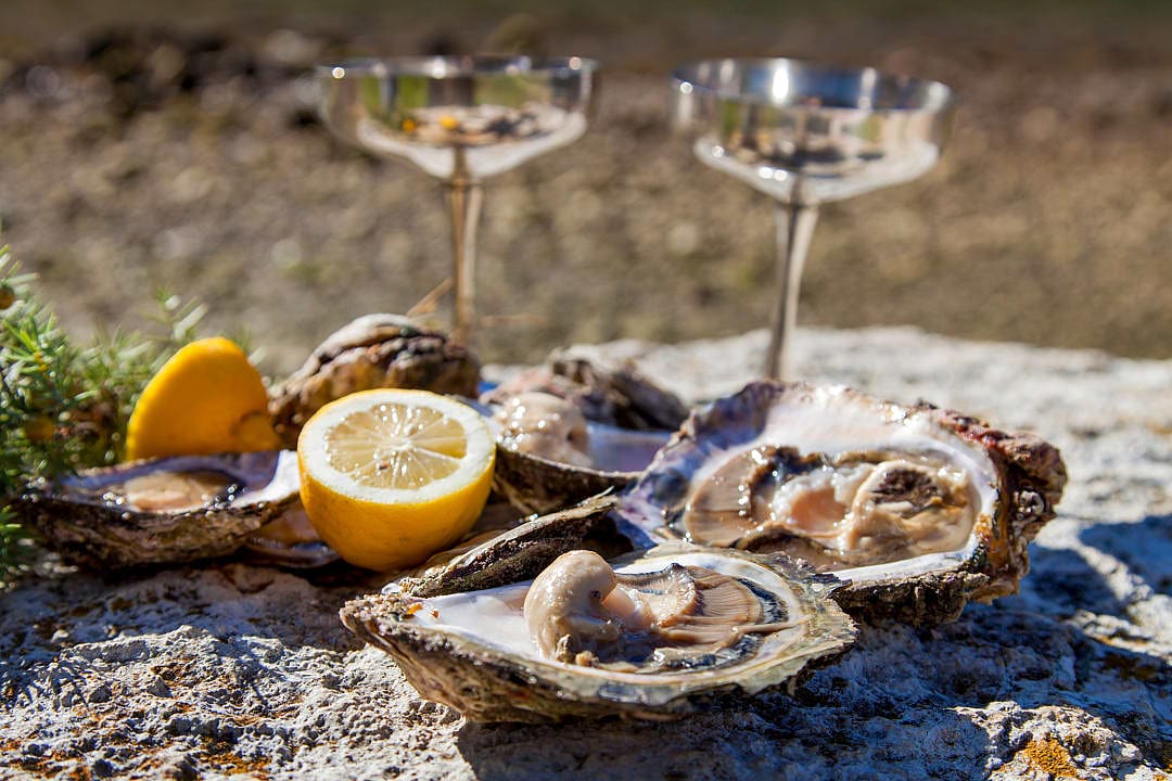 Traditional Croatian oysters, served with some lemon and wine.