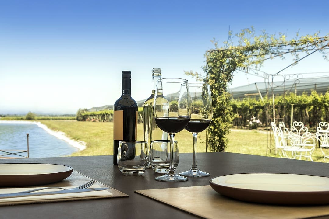 Lunch in Mendoza, Argentina. 